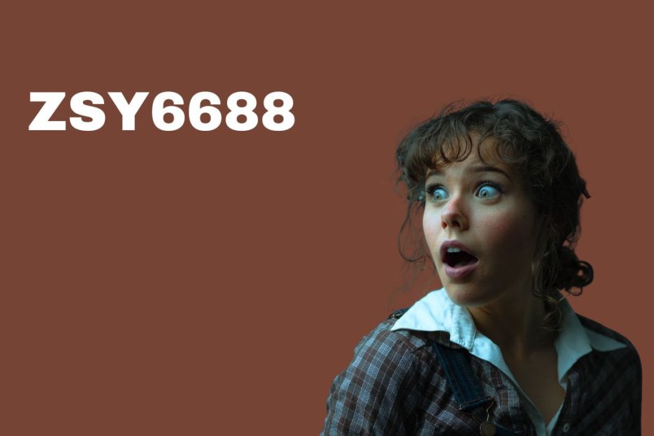 ZSY6688